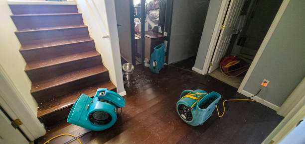 Best Flood damage cleanup  in Port Isabel, TX