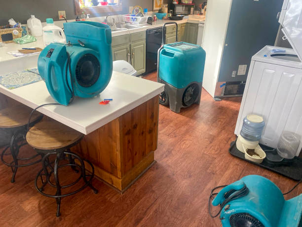 Best 24-hour water damage restoration  in Port Isabel, TX
