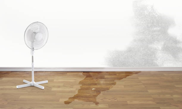 Best Flooded house restoration  in Port Isabel, TX
