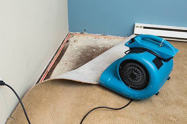 Best Sewage cleanup and water damage restoration  in Port Isabel, TX